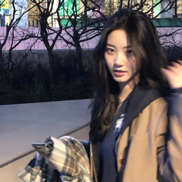 阁楼里的花