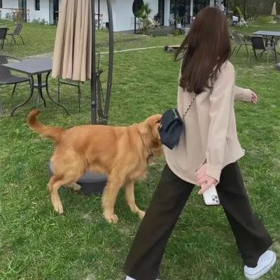 优质杀手