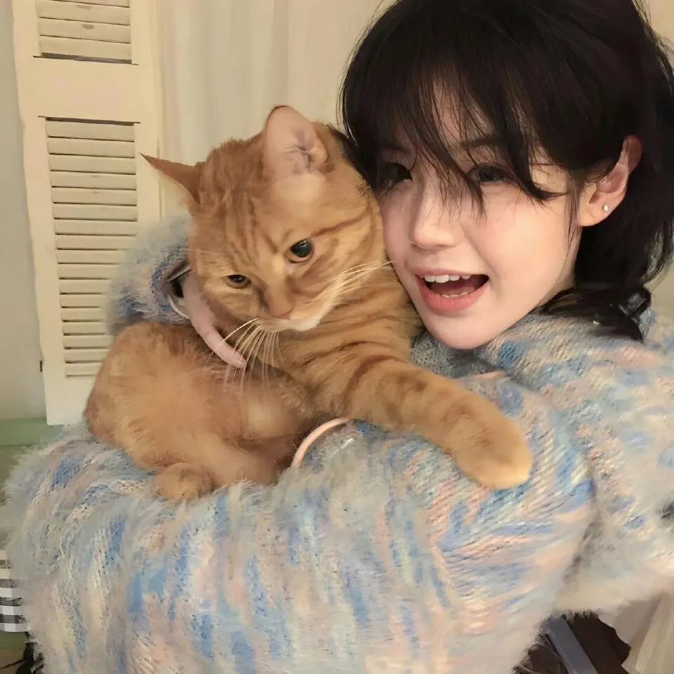 征服